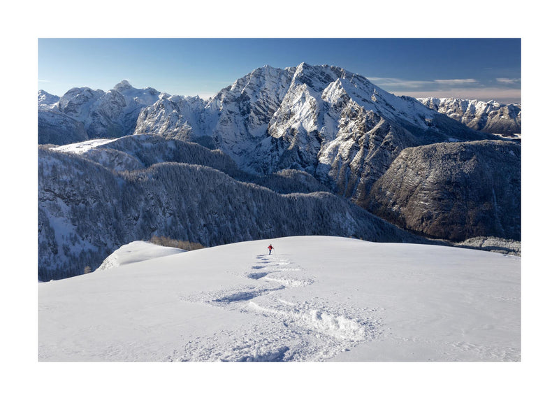 Making Tracks In The Alps 50x70 cm