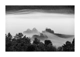 Mist Over The Meadow 50x70 cm