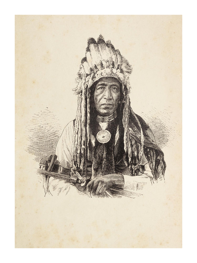 Native American Chief 30x40 cm