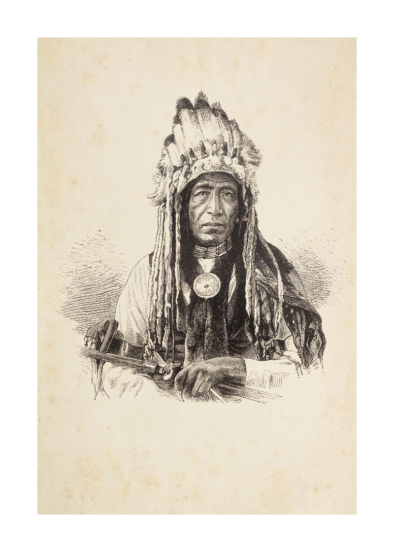 Native American Chief 50x70 cm