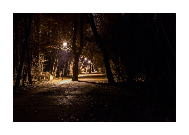 Night Stroll 50x70 cm