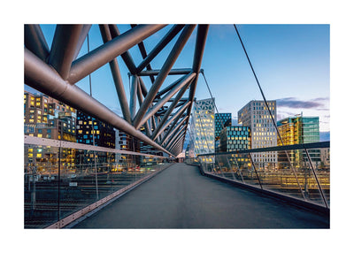 Oslo skyline back 50x70 cm