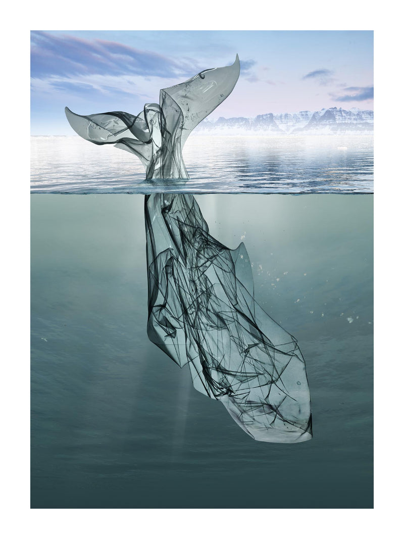 Plastic Whale 30x40 cm
