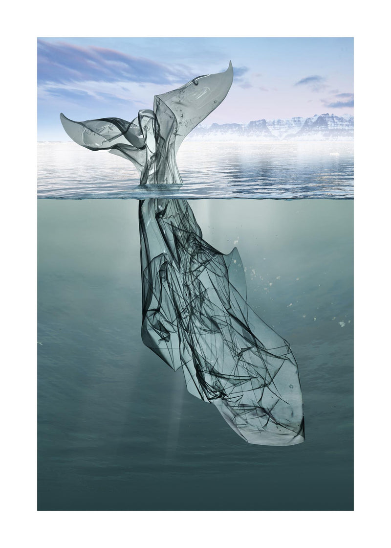 Plastic Whale 50x70 cm
