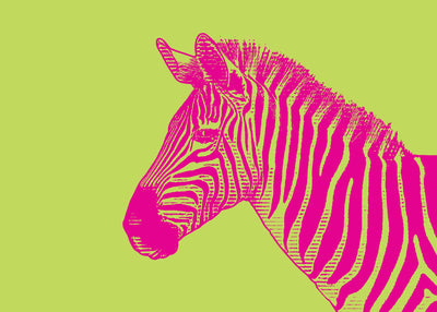 Polarized Zebra 50x70 cm