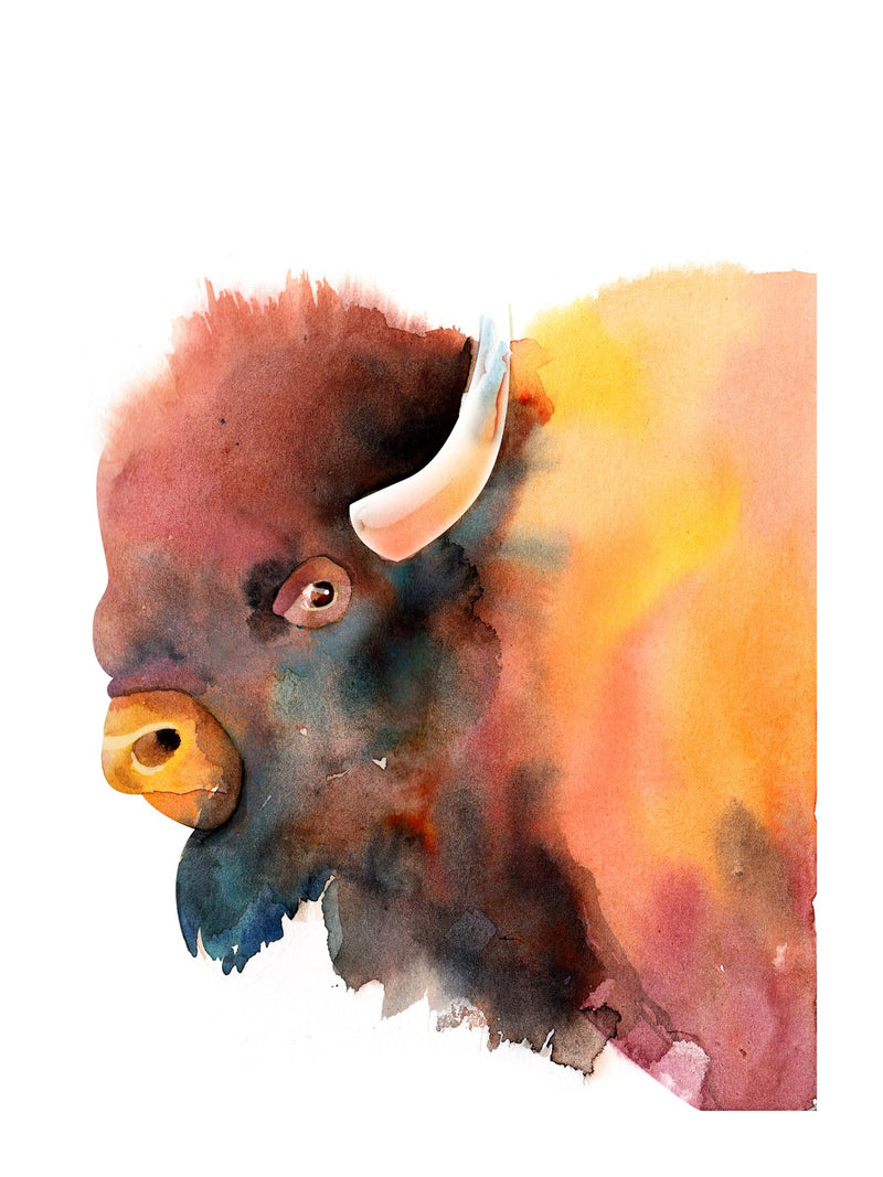 Bison Water Rcolour Watercolour Bison – Artbird