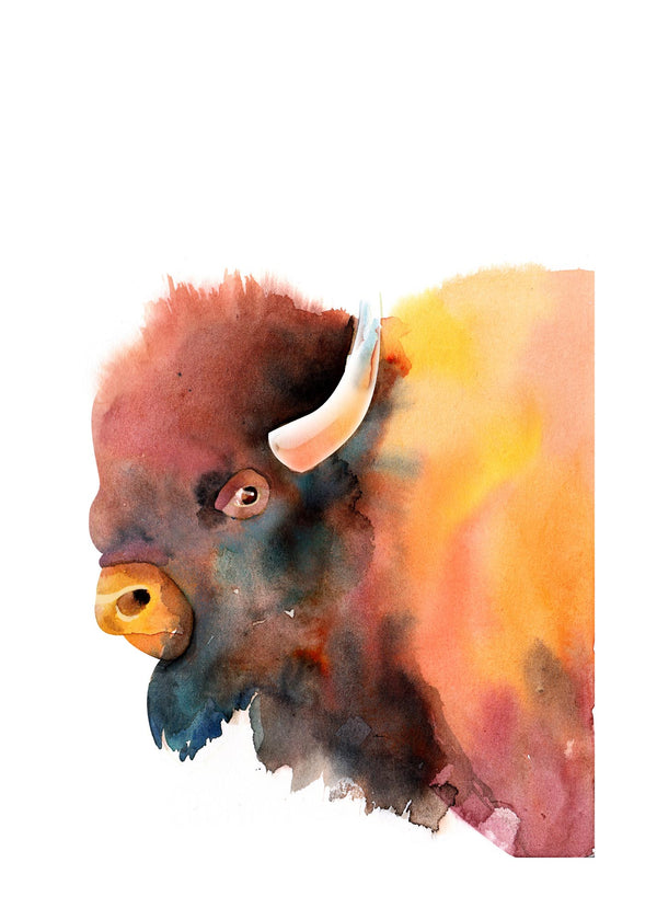 Watercolour Bison 50x70 cm