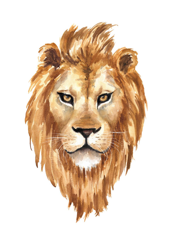 Watercolour Lion 50x70 cm
