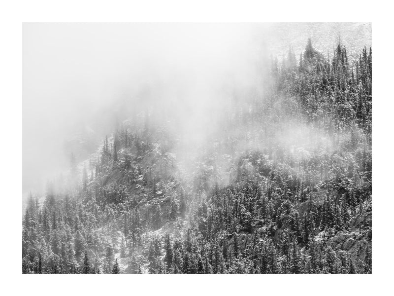 Winter Fog 30x40 cm