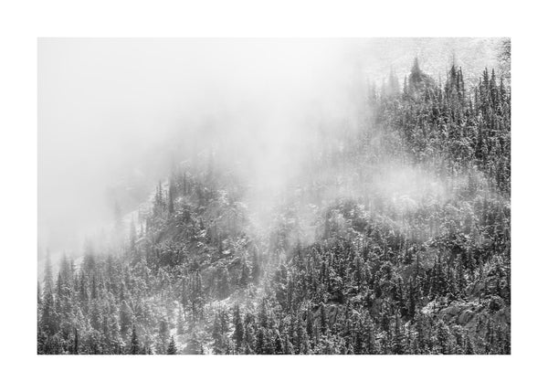 Winter Fog 50x70 cm