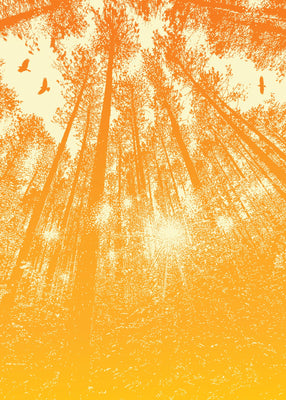 Yellow awakening 50x70 cm