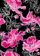 pink rose on black 50x70 cm